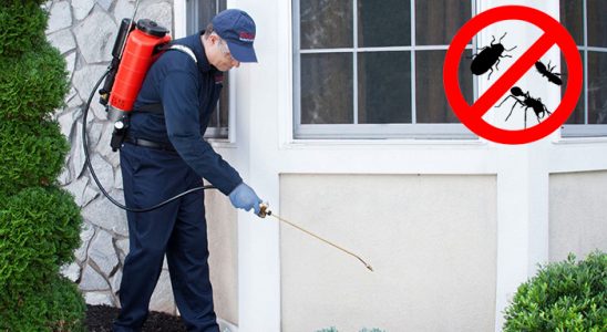 Toprakkale Gümüşkurt İlaçlama böcek ilaçlama ve haşere kontrolü — ilaclama-tr.com